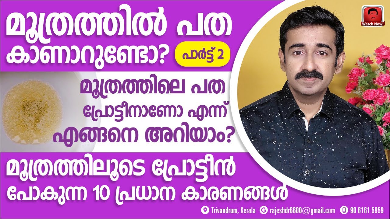 മൂത്രത്തിൽ പത കണ്ടാൽ - പാർട്ട് 2.. വൃക്കരോഗം അല്ലാതെ മൂത്രത്തിലൂടെ പ്രോട്ടീൻ പോകുന്ന 10 കാരണങ്ങൾ
