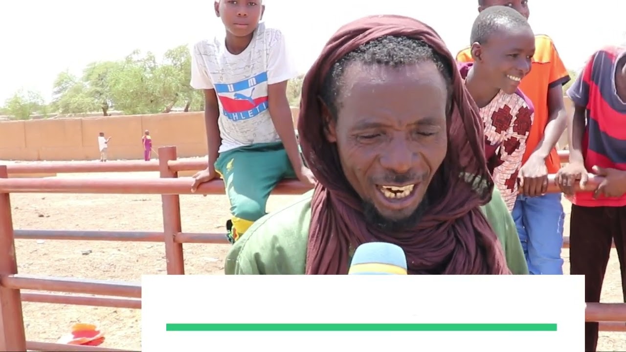 marché de bétail de la Commune urbaine de tillabery