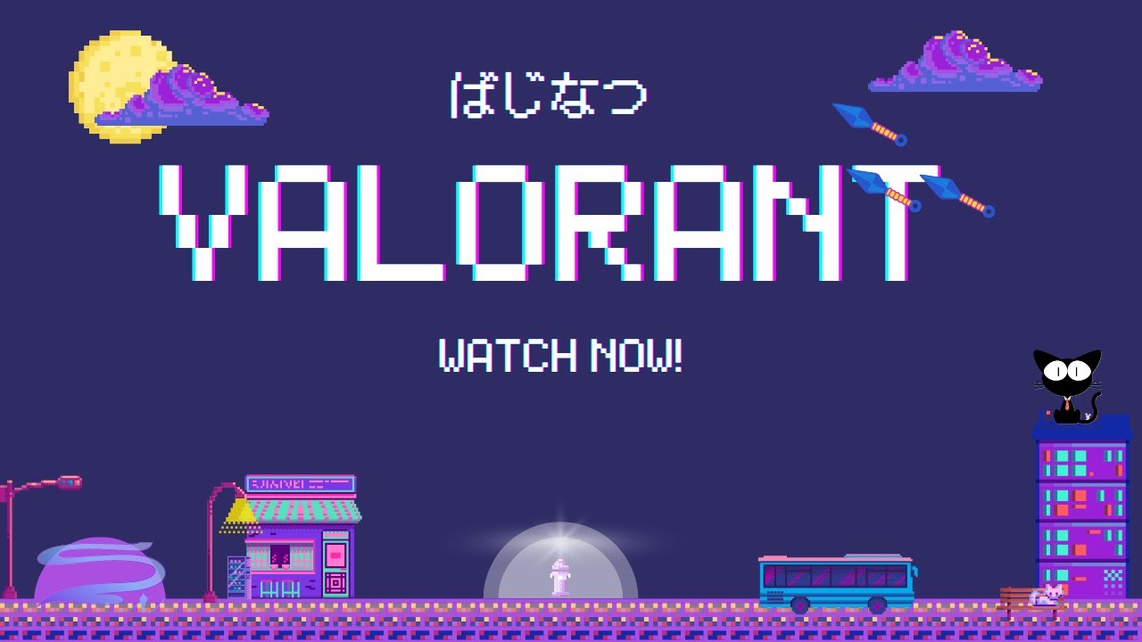 【VALORANT】ヴァロカスタムすると聞いたので
