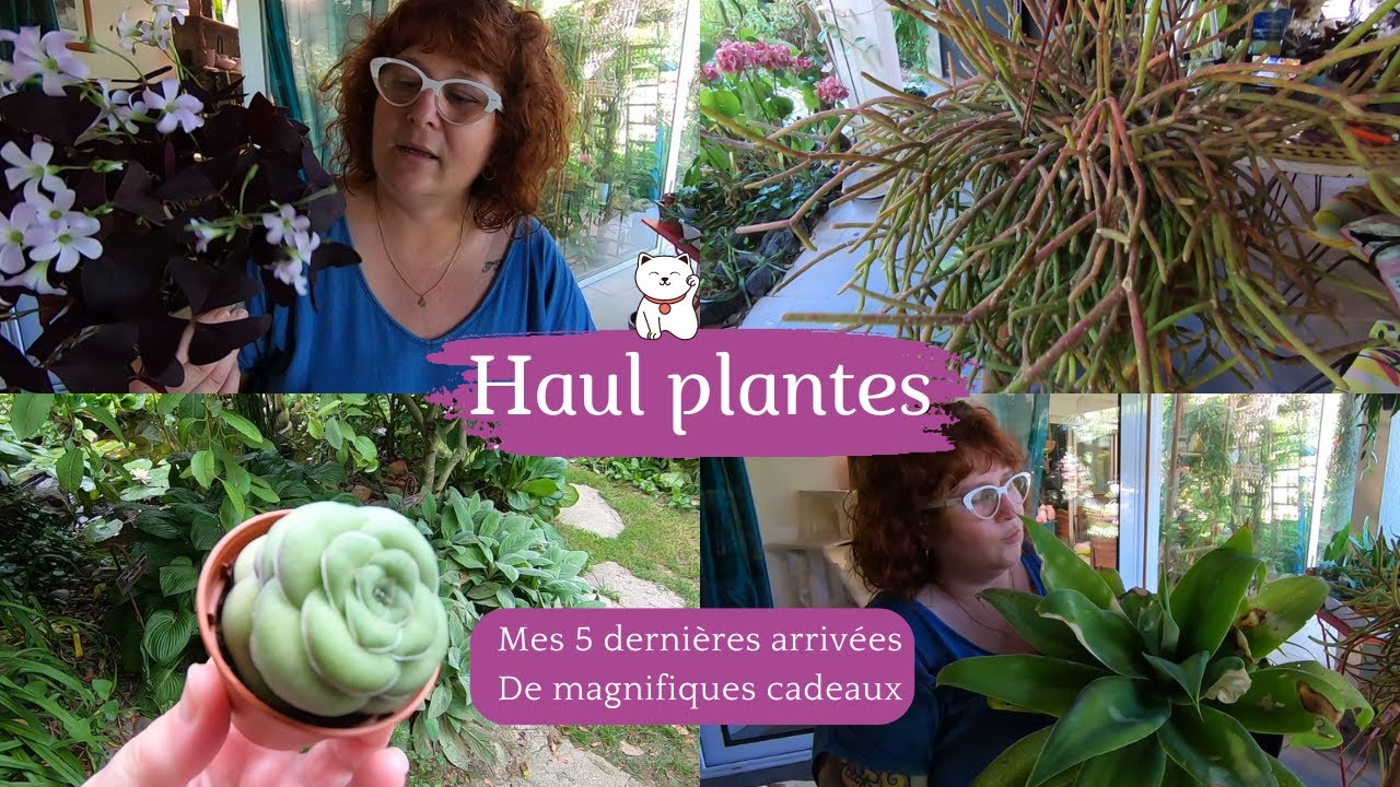 HAUL PLANTES🌿 Mes 5 dernières plantes arrivées à la maison | Des magnifiques cadeaux🎁