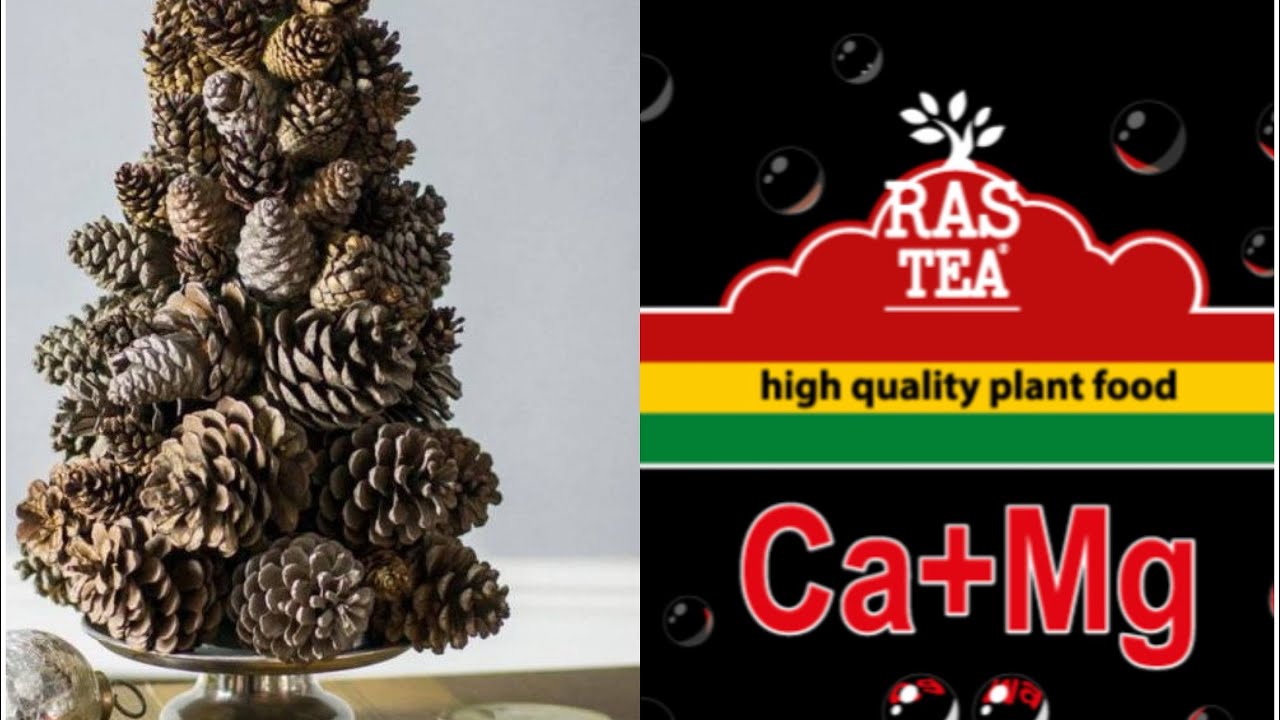 CAL-MAG, кремний и Приглашение на стрим#