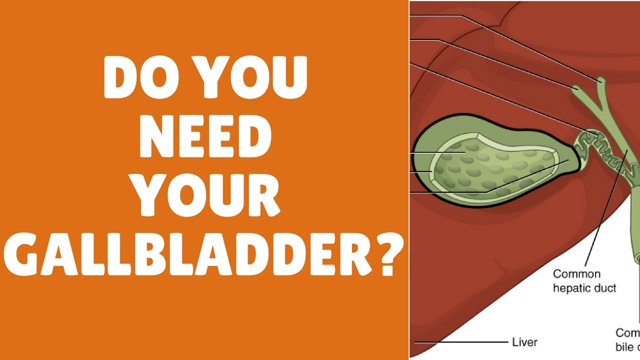 What does the gallbladder do? ( Gallbladder functions )