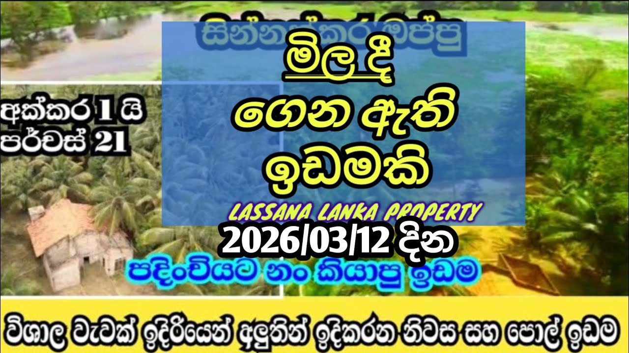 ලස්සන වැවක් ඉදිරියෙන් property sale in (mahawa balalla)#Lassana Lanka idam