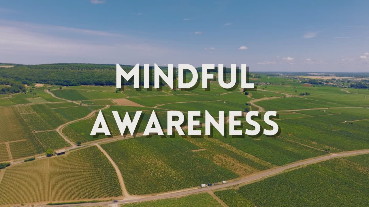 9. Mindful Awareness to Ease Chronic Pain Signals