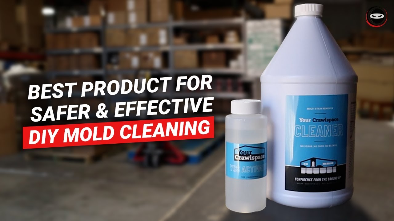 DIY Mold Cleaning | Best Safe & Effective DIY Mold Remover
