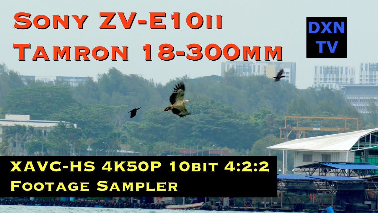 Видеоматериалы, снятые на камеру Sony ZV-E10ii с объективом Tamron 18-300mm в разрешении 4K 50P: ...