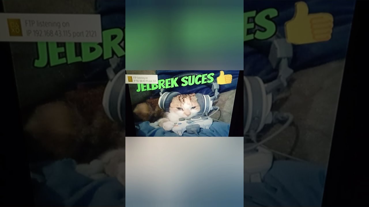 Update PS4 Vue After Free & GoldenHEN v2.4b18.9
