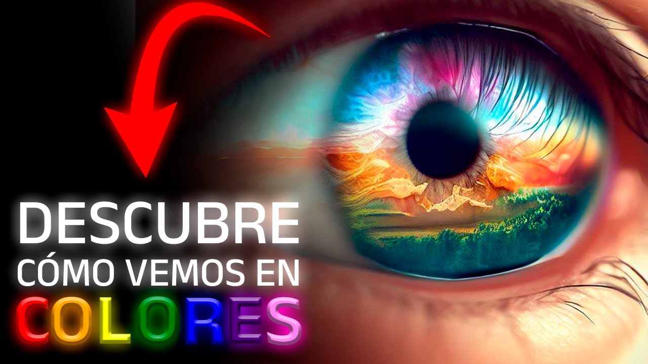 🌈&iquest;Por qu&eacute; VEMOS en COLORES?: La CIENCIA detr&aacute;s de la VISI&Oacute;N del COLOR