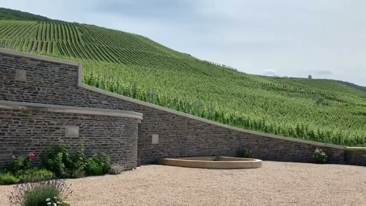 WEINGUT DR LOOSEN