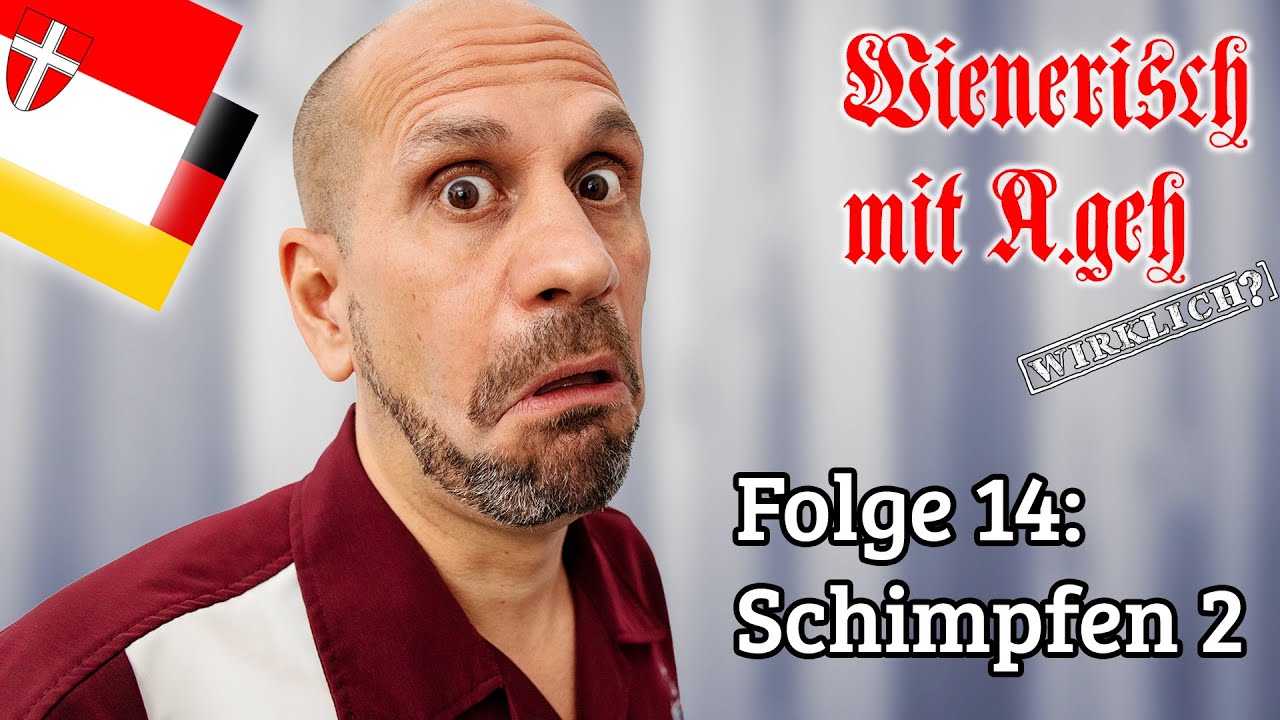 Wienerisch mit A.geh Wirklich? - Folge 14: Schimpfen 2