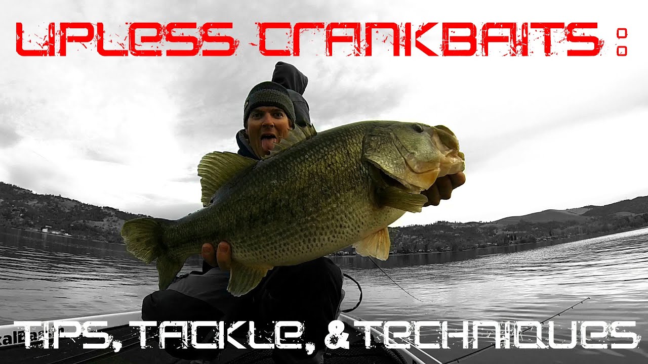 Lipless Crankbaits: Tips, Tackle, and Techniques for Fall and Winter