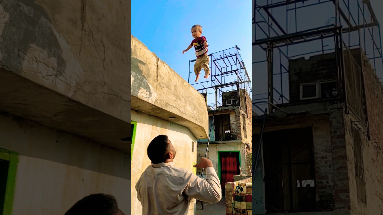 Dodo 🦤 super cute little baby dodo 🦤 cute baby dodo 🦤 #foryou #funny #comedy #cutebaby #cutebaby