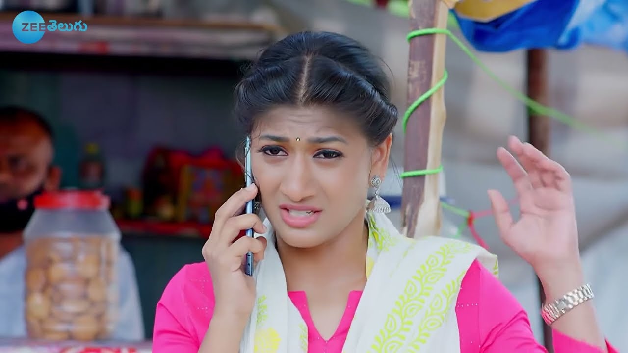 Vaidehi Parinayam - వైదేహి పరిణయం - Telugu Serial - EP - 198 - Karuna Bhushan - Zee Telugu