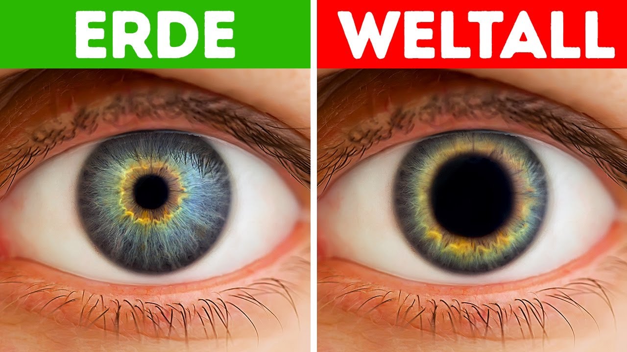 Was, wenn die Menschen Millionen von Jahren im Weltraum leben würden?