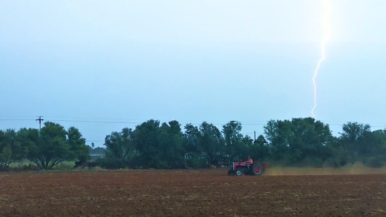 Planting teff and running the tiller|Massey Ferguson 240 & 275|Vlog15