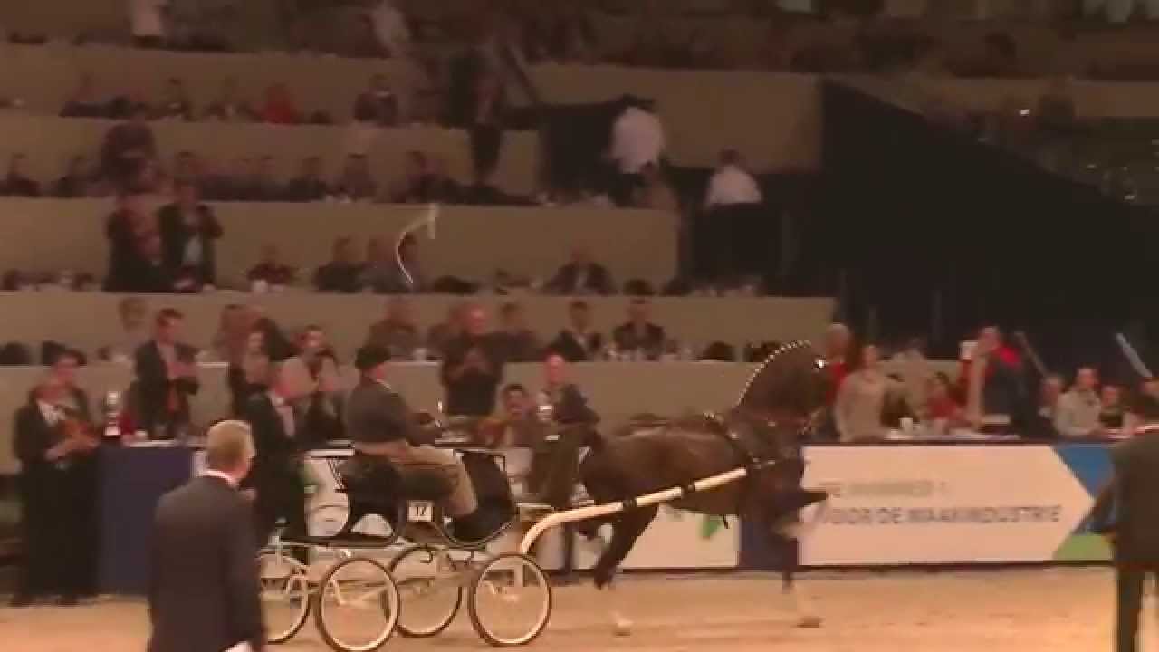 Oregon Trophy 2015 Dutch Harness Horse Fine Harness Championship