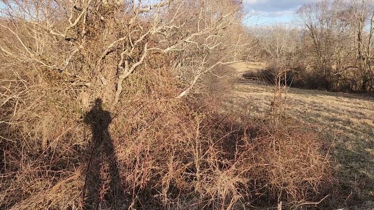 Jewel evening run 3/1/25