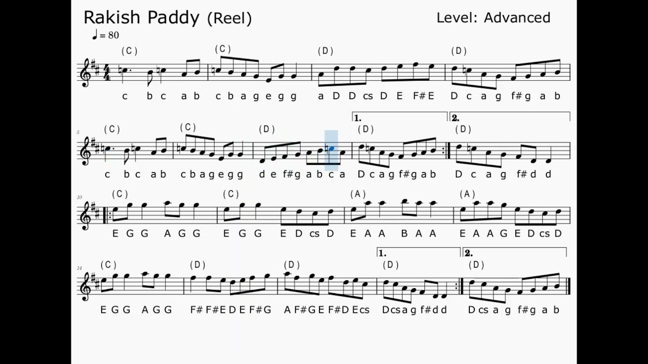 Rakish Paddy Paddy (Reel)