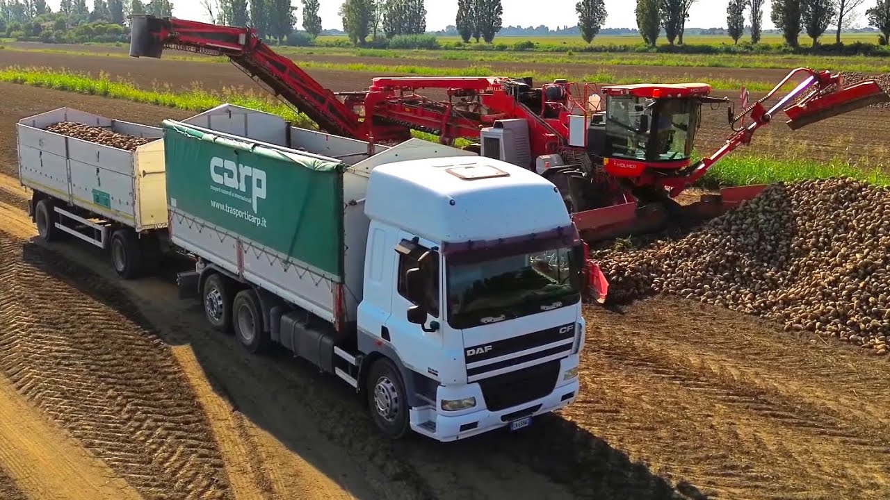 Trasporto Barbabietole da zucchero | Iveco TurboStar 190-48 | Holmer machinery | F.lli Prataviera 
