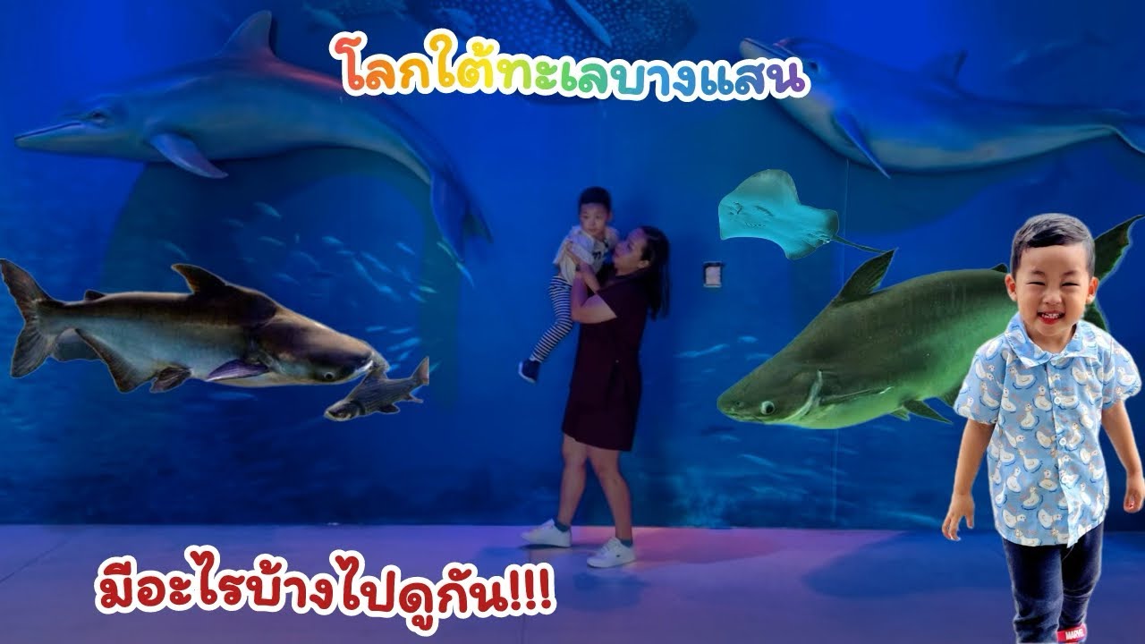 ศูนย์การเรียนรู้โลกใต้ทะเลบางแสน สวยมากๆ#เด็กน่ารัก #น้องกูเกิ้ลchannel #โลกใต้ทะเล#บางแสน #ไปดูกัน