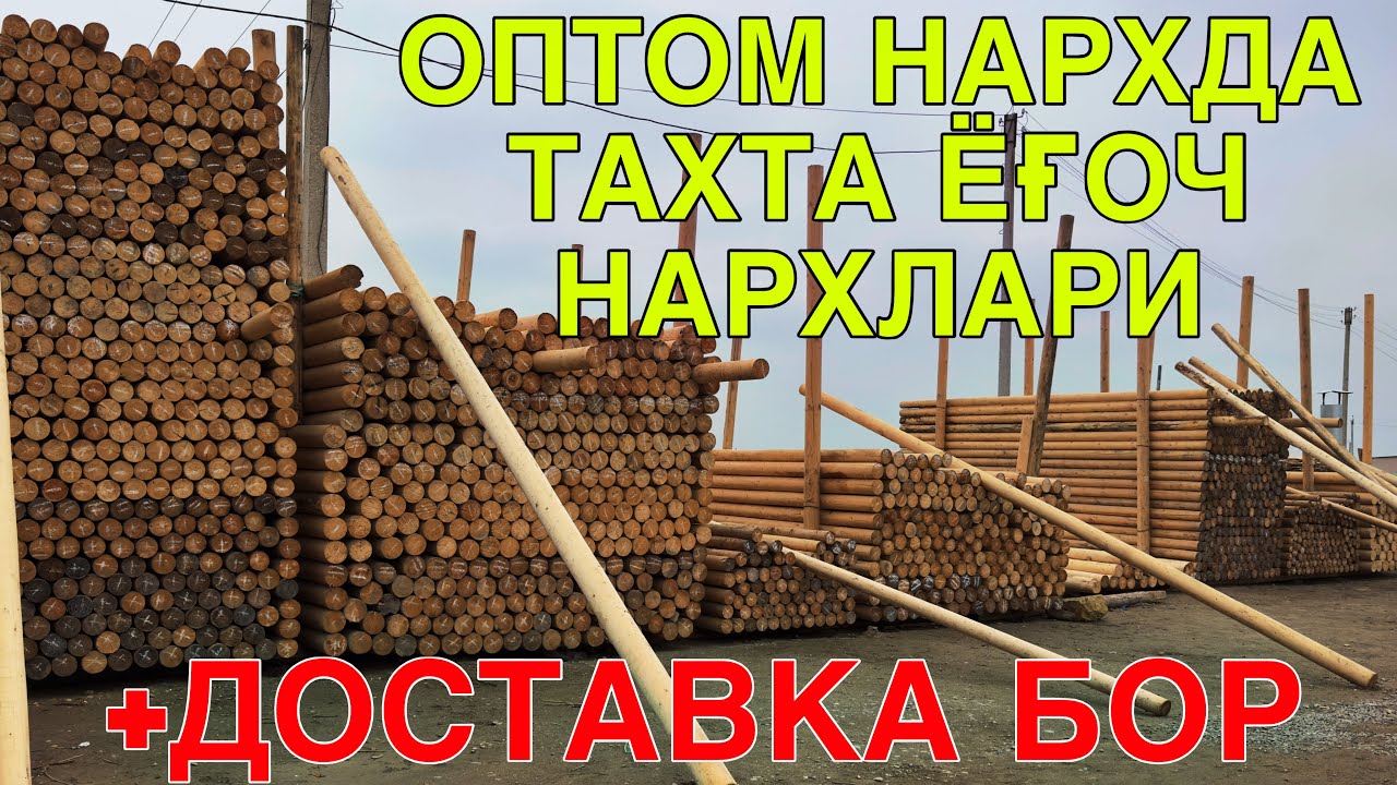 КАРШИ/КОСОН ТАХТА БОЗОРИ НАРХЛАРИ!3 МАРТ  2026 QARSHI/KOSON TAXTA BOZORI NARXLARI