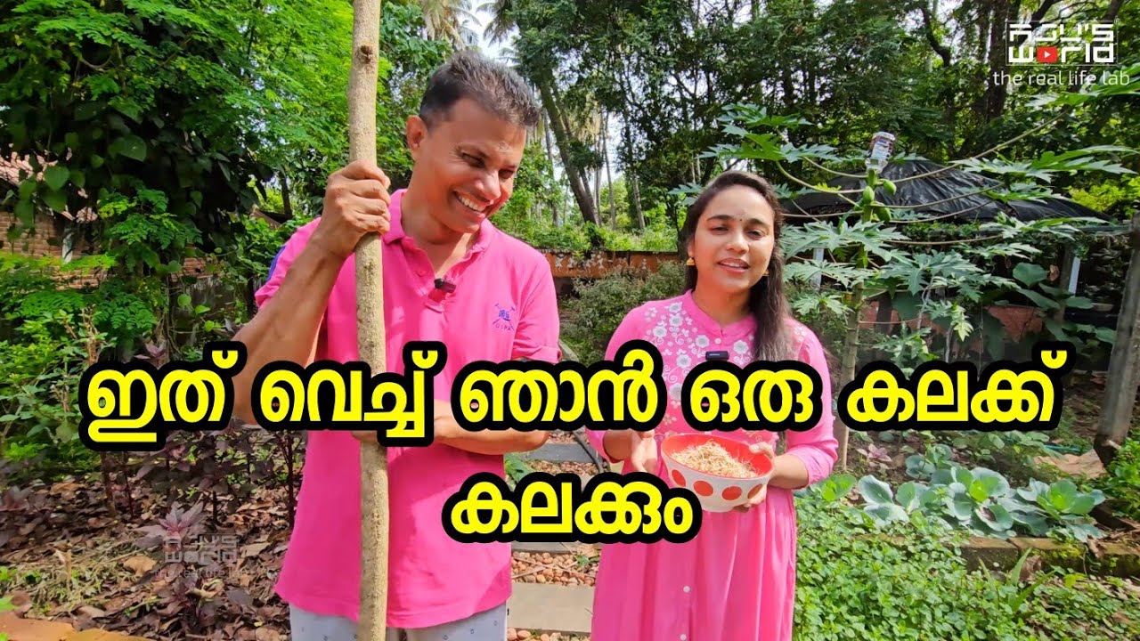 ഇതാണ് ഏറ്റവും നല്ല lunch /Healthy life /Lunch /Family vlog/Vegetarian /AJU'S WORLD