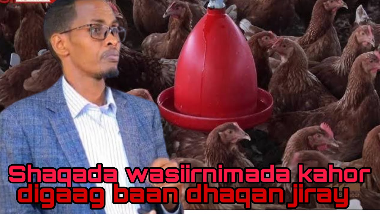 Shaqada Wasiirnimada Kahor digaag ayaan dhaqan jiray maalintiina 1500birr ayaa i soo gali jirtay