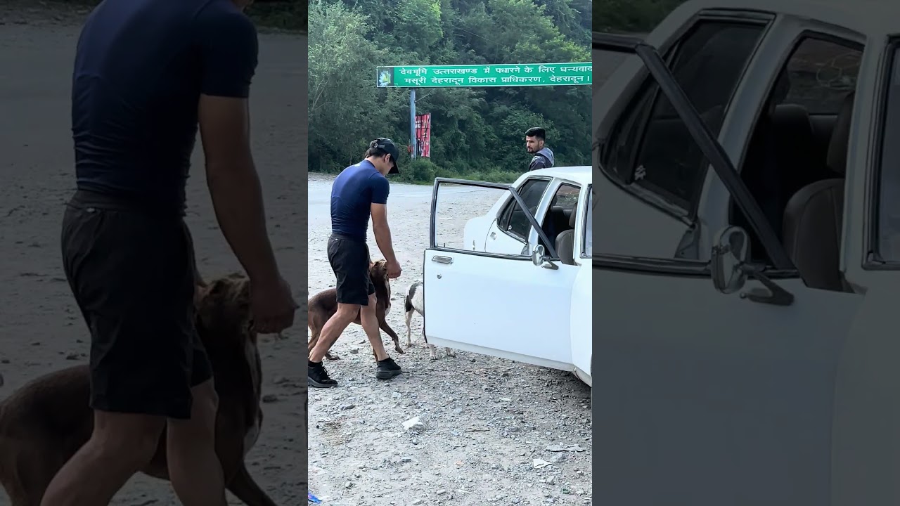 Shoot day with Champ Angad Bisht, gearing up for his next fight! #shortvideo #shorts #youtubeshorts