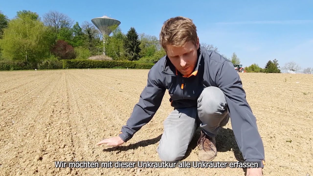 Conviso Smart Zuckerrüben - 1. Herbizidbehandlung