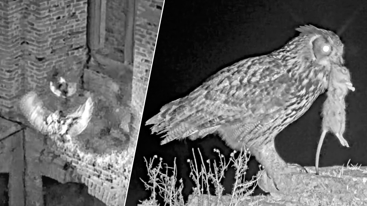 03.–04.03.2026: Unter ständigem Druck