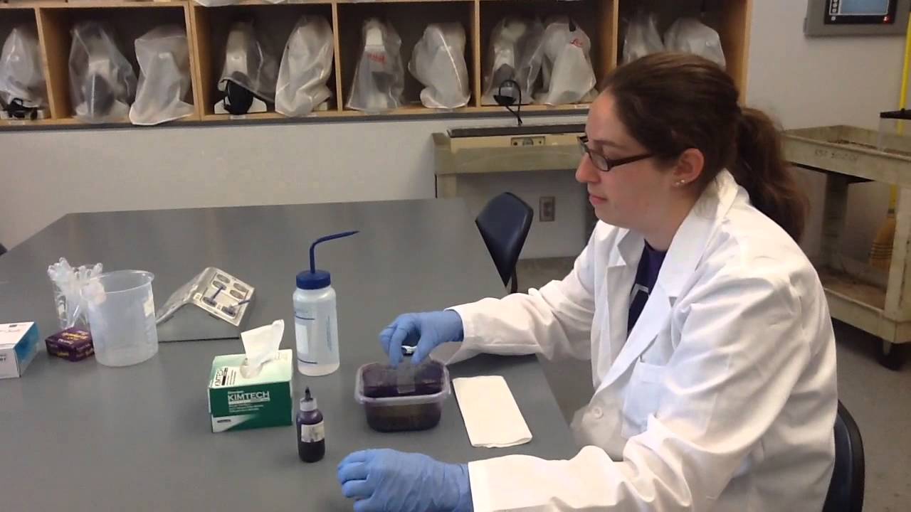 Crystal Violet Staining