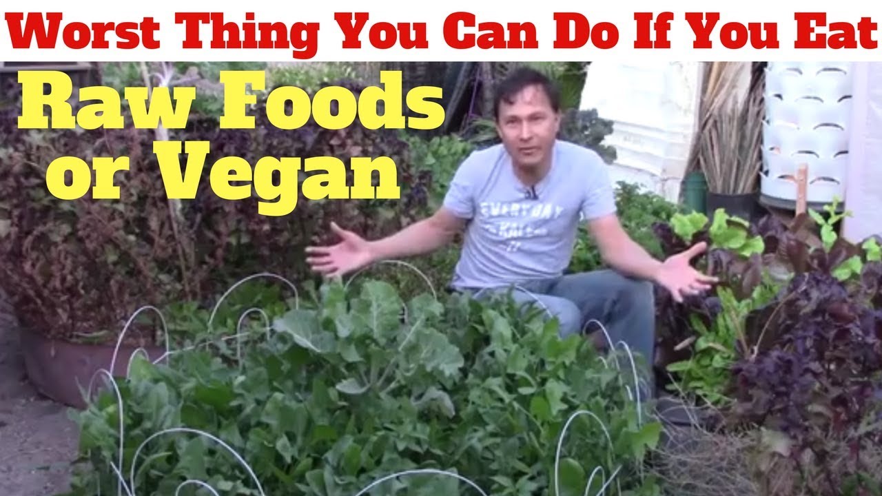 Worst Thing You Can Do If You Eat Vegan or Raw Foods