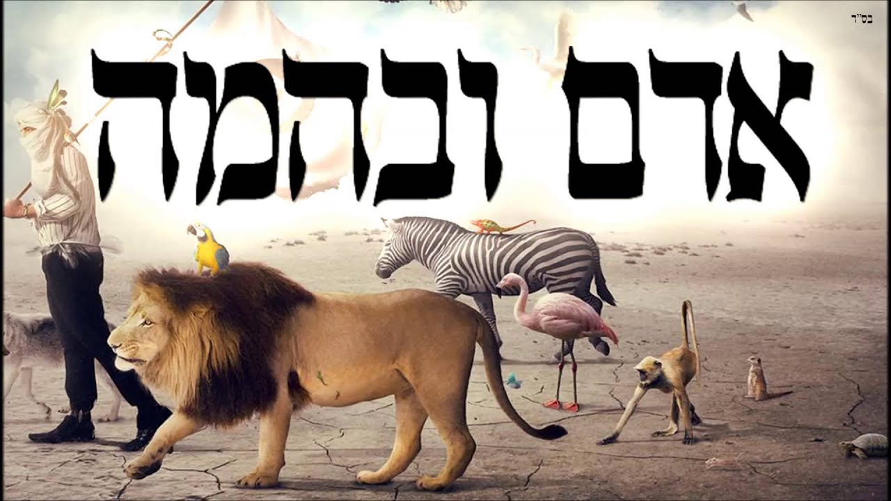 אדם ובהמה - שיעור תורה בספר הזהר הקדוש מפי הרב יצחק כהן שליט"א