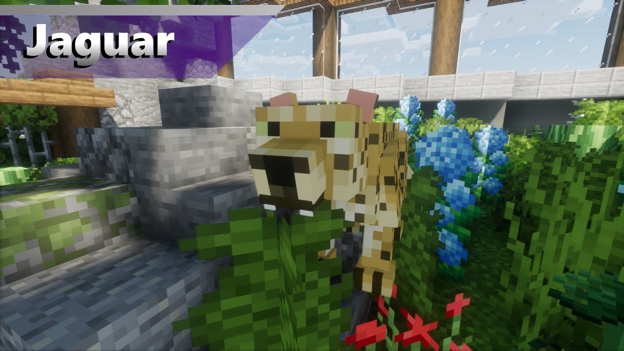 Ягуар | Зоопарк Алекса Мобов (Зоопарк Minecraft 1.16.5)