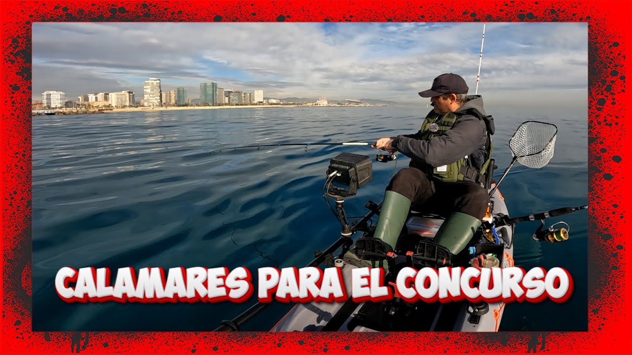 Calamares para el Concurso