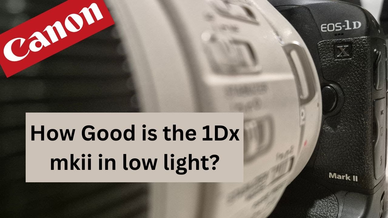 Canon EOD 1Dx mkii — насколько хороша она при слабом освещении?