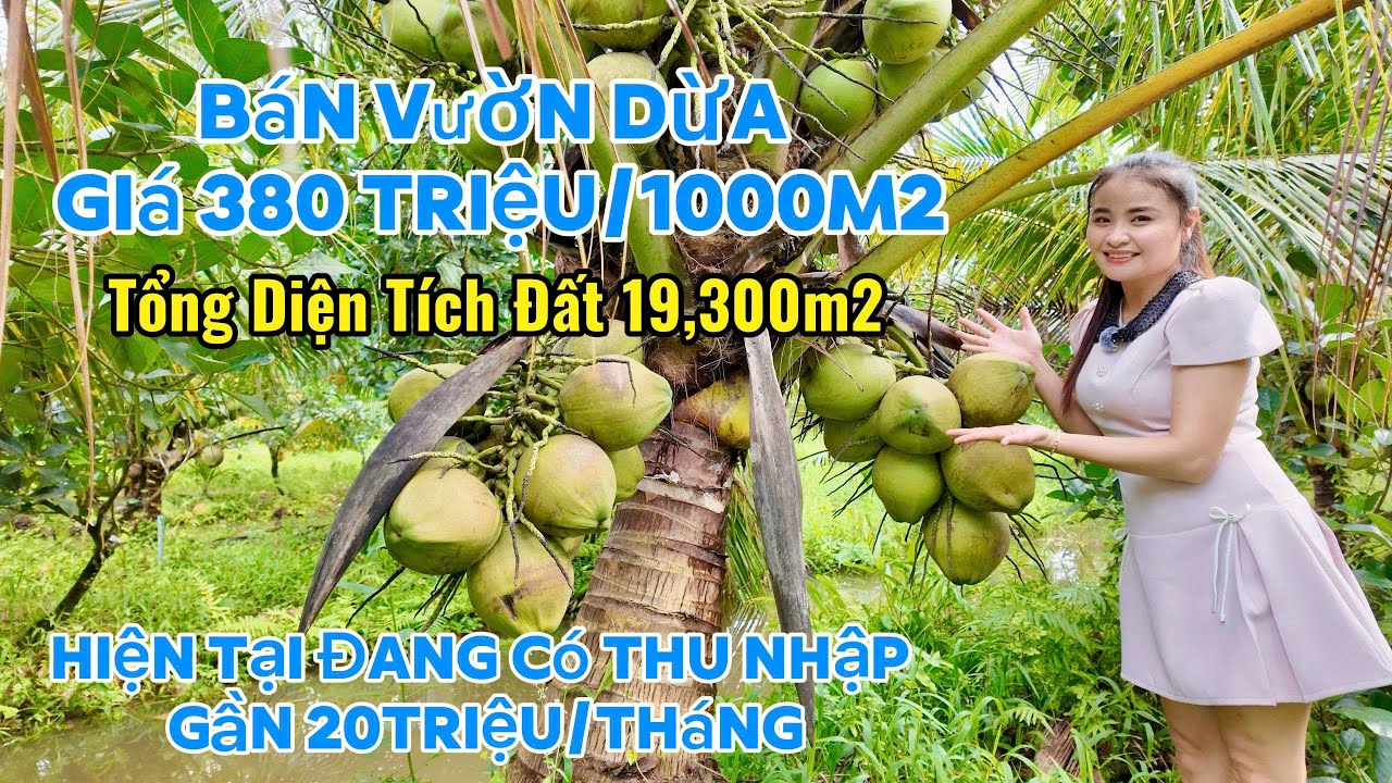 đất vườn giá rẻ đang trồng dừa đang ó thu nhập rất ỗn định huyện mang thít vĩnh long