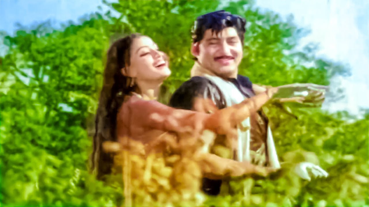 Sobhan Babu, Vijayashanthi Evergreen Superhit Video Song - Jeevana Poratam Movie Video Songs