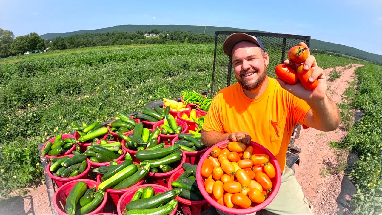 Adding something NEW to our Harvest