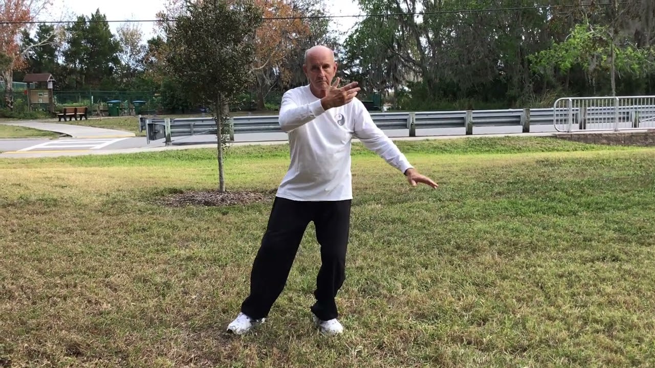 Mirror Image of Tai Chi Eight Form