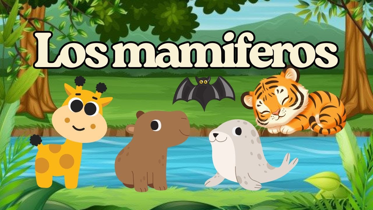 Los mamíferos | Animales increíbles para niños  | Video educativo en ESPAÑOL.🐬🦇