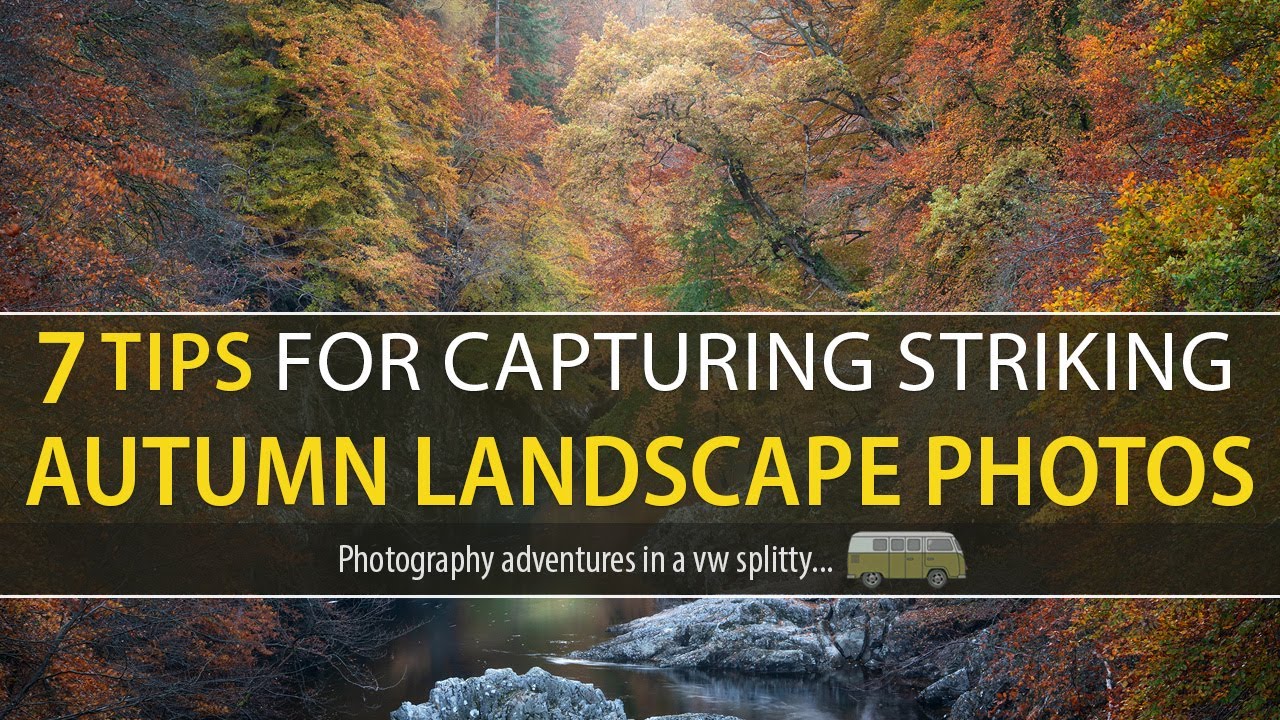 Capture Stunning Autumn Colours with These 7 Photography Tips