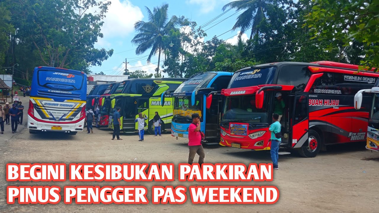 BEGINI KESIBUKAN WISATA PINUS PENGGER PAS WEEKEND