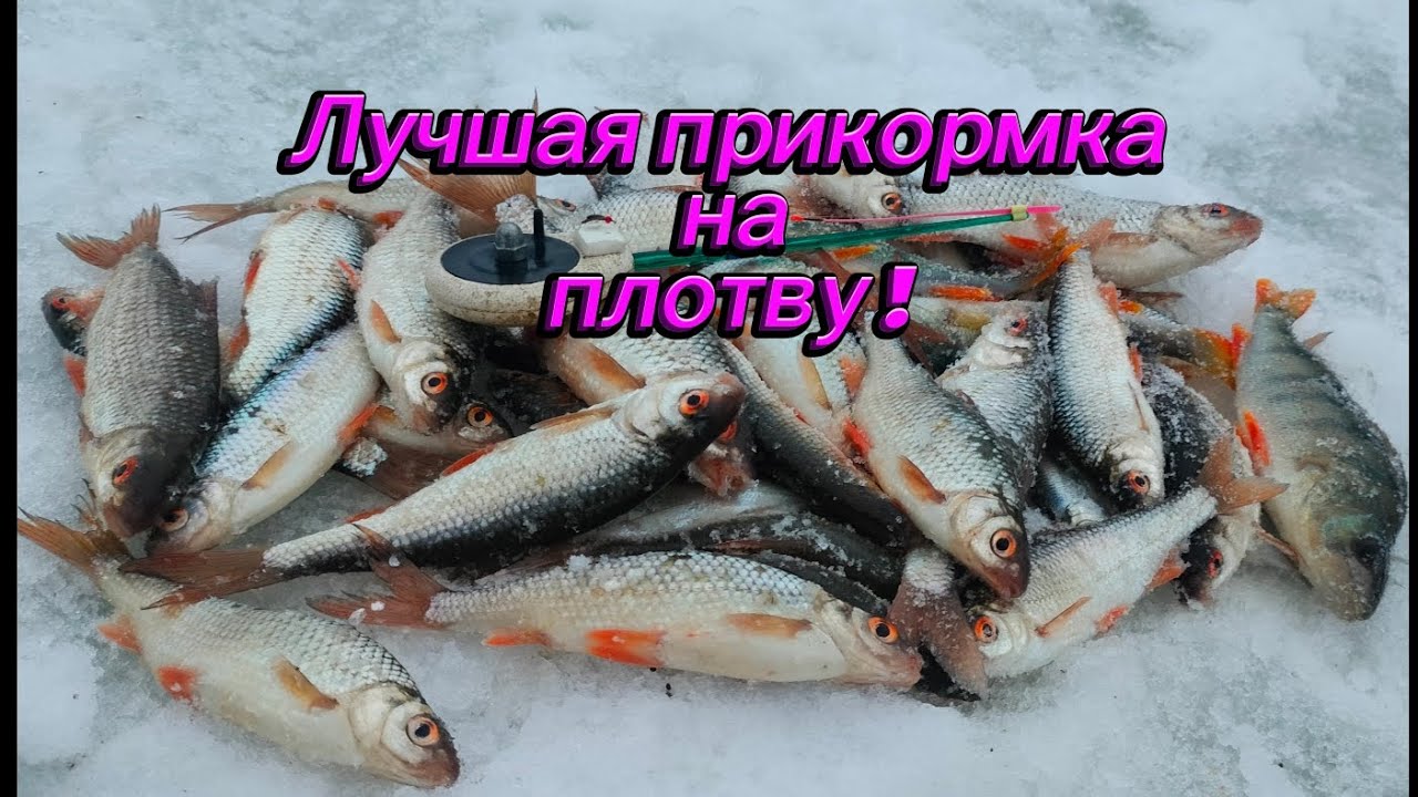 Сделай, не пожалеешь! Прикормка реально работает всегда!!! Зимняя рыбалка. 