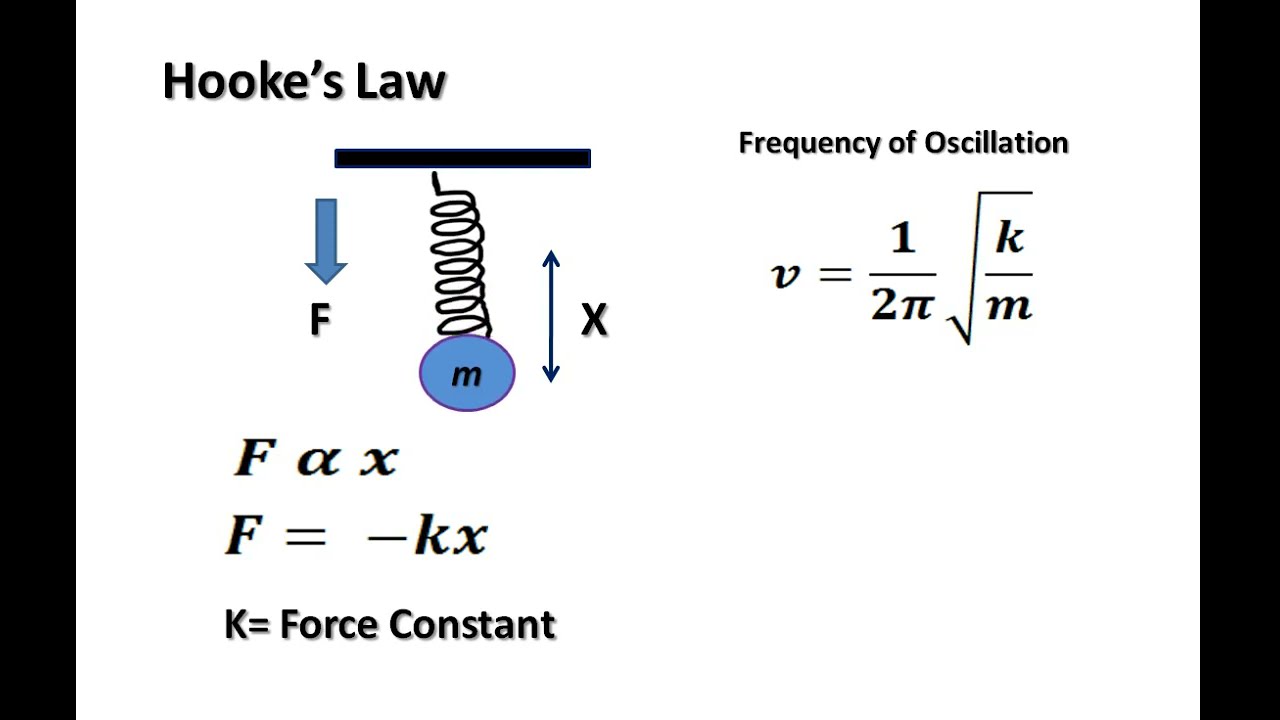B.Sc. II Year | IR Spectroscopy | Hooke's law |