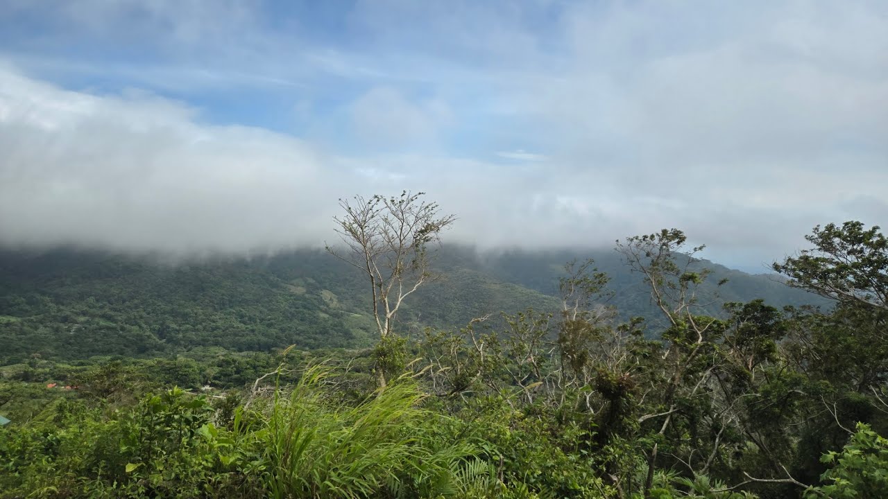 Costa Rica 自驾游 第六天 最难走的山路