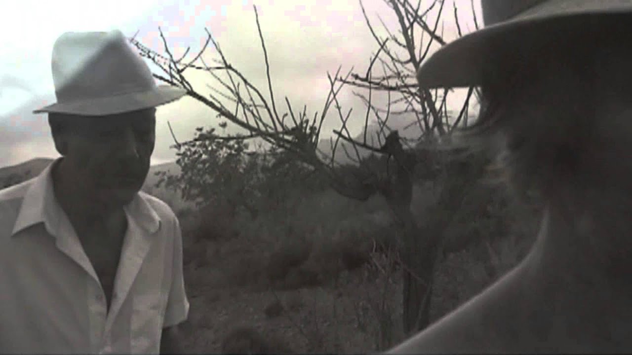 JULIO BUSTAMANTE 
