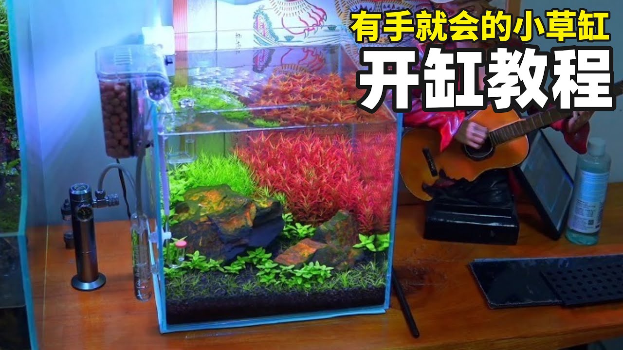 做一个3周就成景的小草缸是什么体验？ 有手就会的保姆级水草缸开缸教程