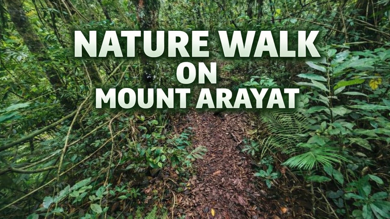Nature walk at MT arayat #adventure #nature #hiking #outdoors 