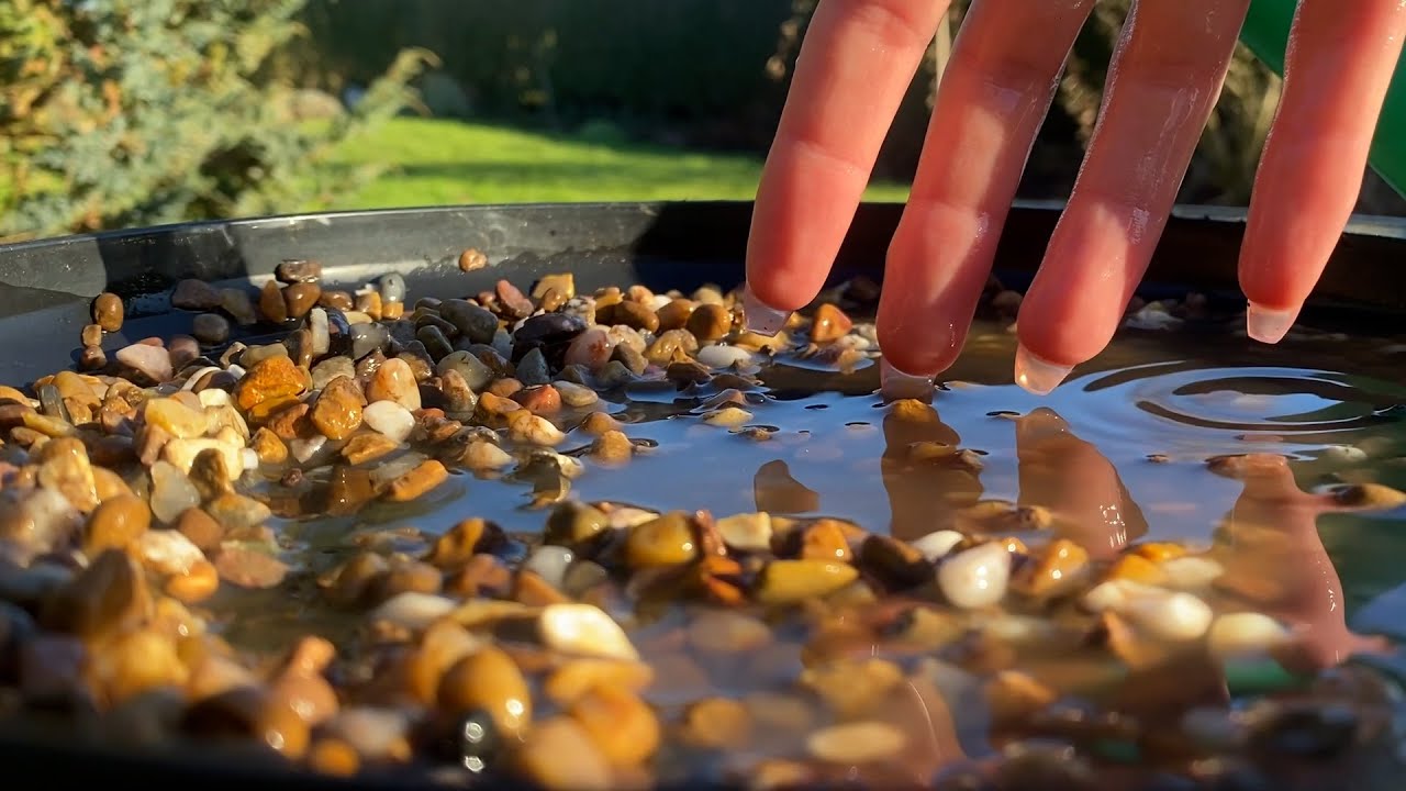 ASMR | 1 HOUR + Wet Pebbles, Concrete Scratching & Camera Tapping
